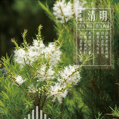 清明同频