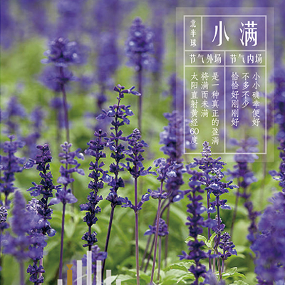 小满同频