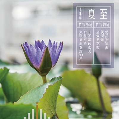 夏至同频