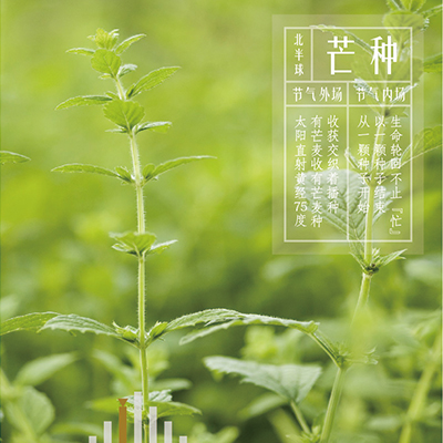 芒种同频