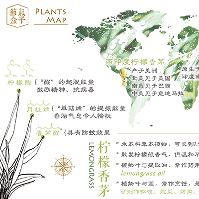 植物地图|小暑x柠檬香茅
