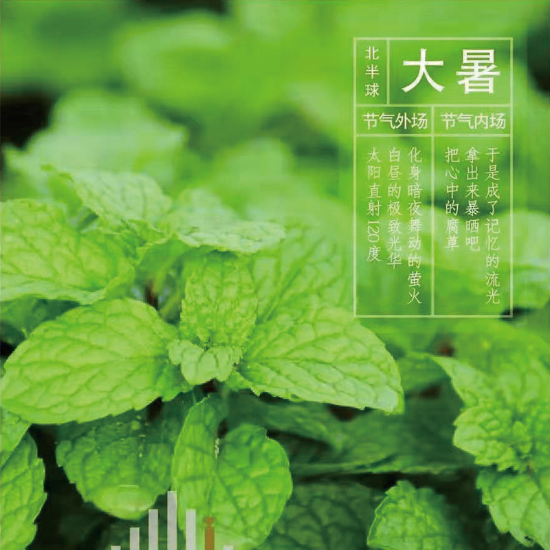 大暑同频｜把心中腐草，拿出来暴晒吧