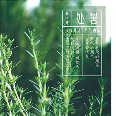 处暑同频 | 彩云易散琉璃脆，回忆消散的夏梦
