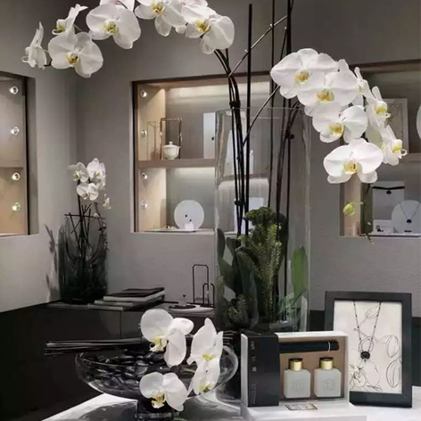20180713 SuLive黑白双生系列展
