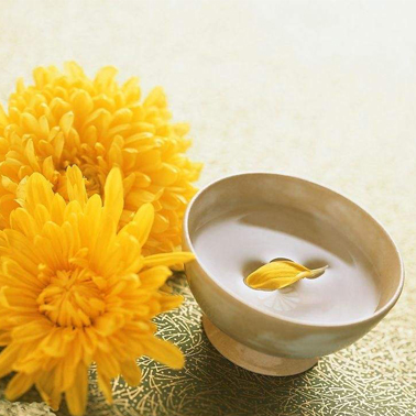 寒露 × 菊花酒