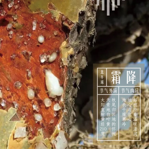 霜降同频 | 天青地寒的秋尾，内心也要抱持温暖