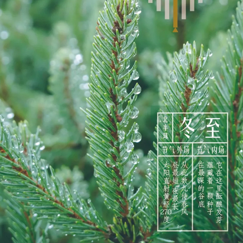 冬至同频 | 冬眠在最深的谷底，数九待春风