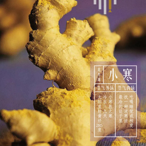 小寒同频 | 吃喝睡觉或相爱，总有一种方法能消寒