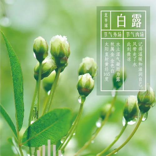 白露同频 | 凉风已至，记得温暖和滋润自己