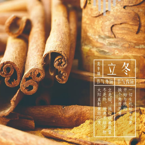 立冬同频 | 以结束作为开始，一切生机始于藏