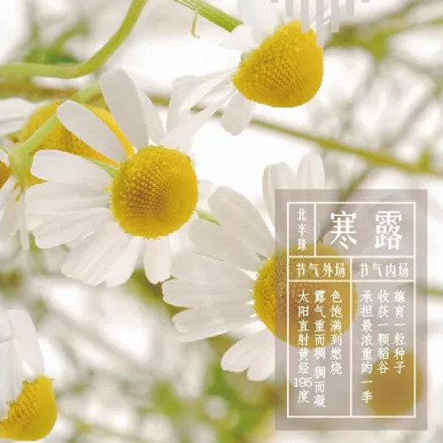 寒露同频 | 饱满到燃烧，收获最浓重的一季