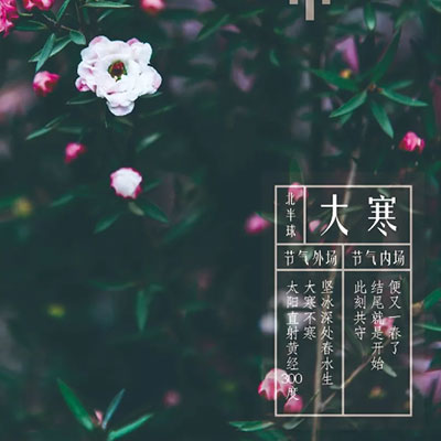 大寒同频 | 结尾也是开始，共守下一个春天