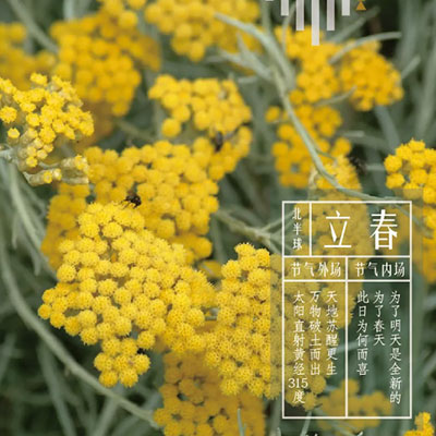 立春同频 | 冬天的愿望，会在春天实现
