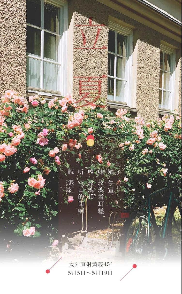 节气五感 | 立夏 一朵夏花开