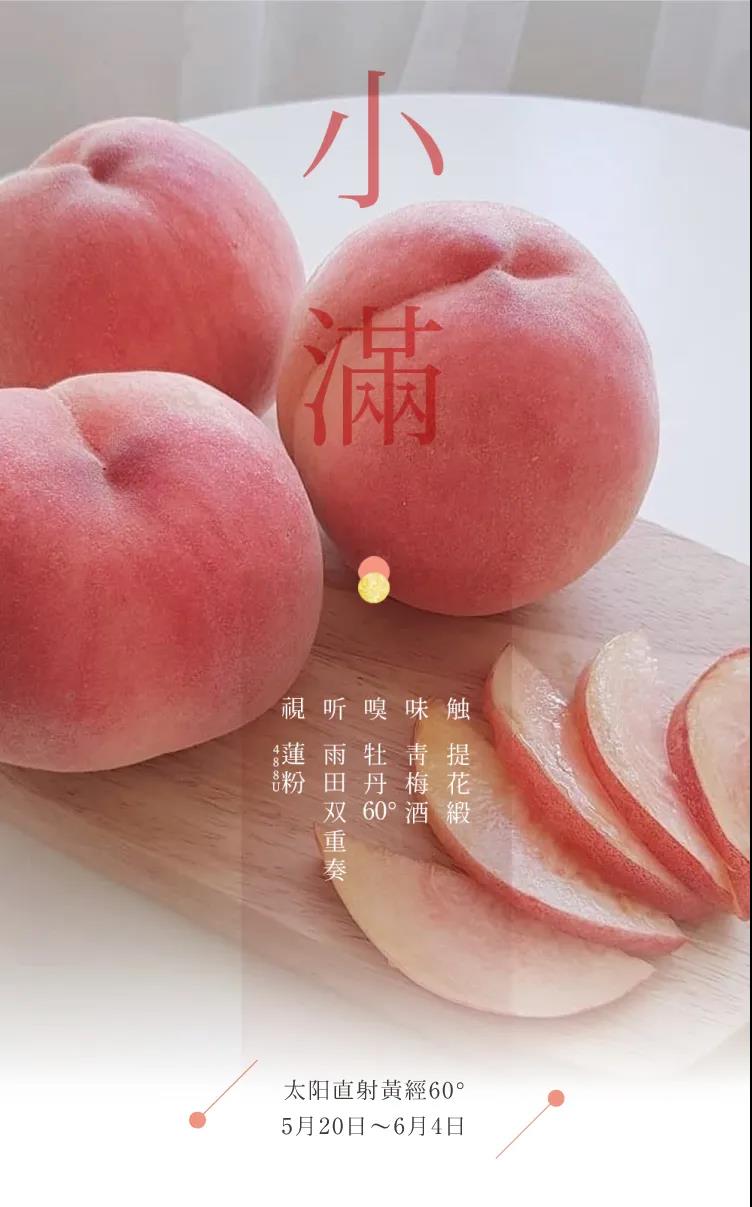 节气五感 | 小满 小得盈满便是甜