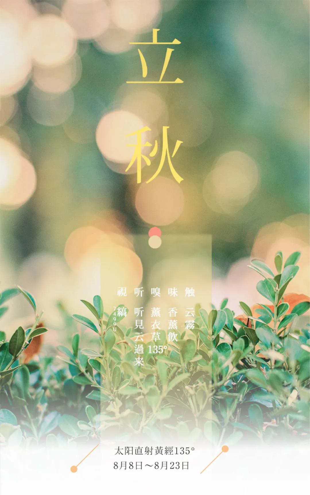 节气五感| 立秋 · 空山新雨且听云