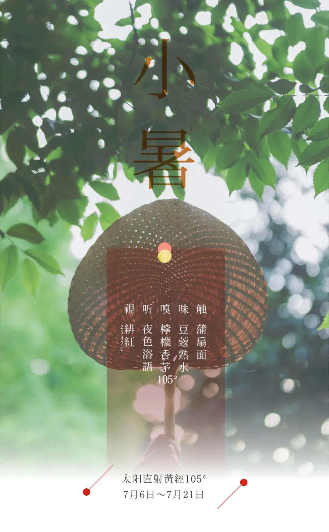 节气五感 | 小暑 蒲扇轻摇纳微凉