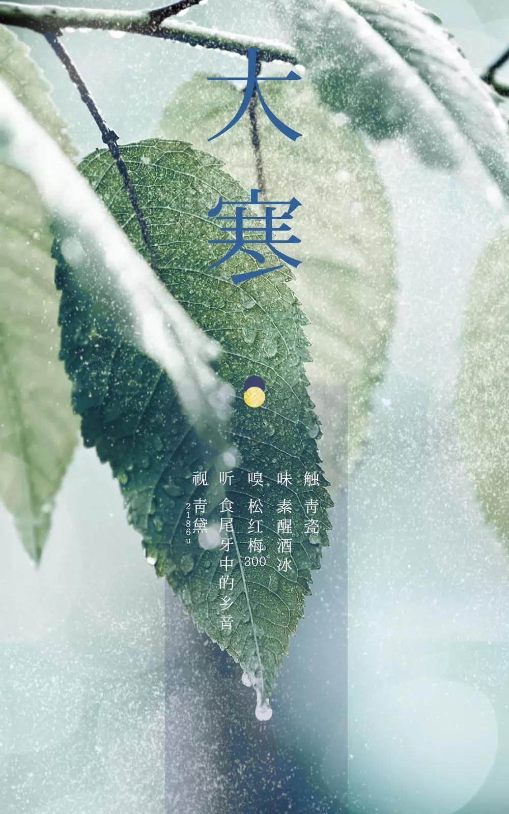 节气五感 | 大寒 · 咫尺青黛素醒冰