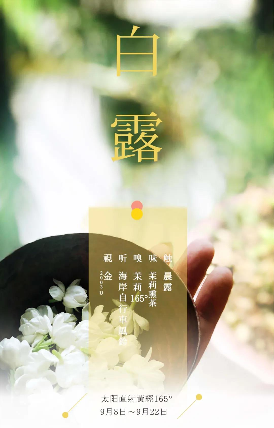 节气五感 | 白露 · 朝露凝白凉风至