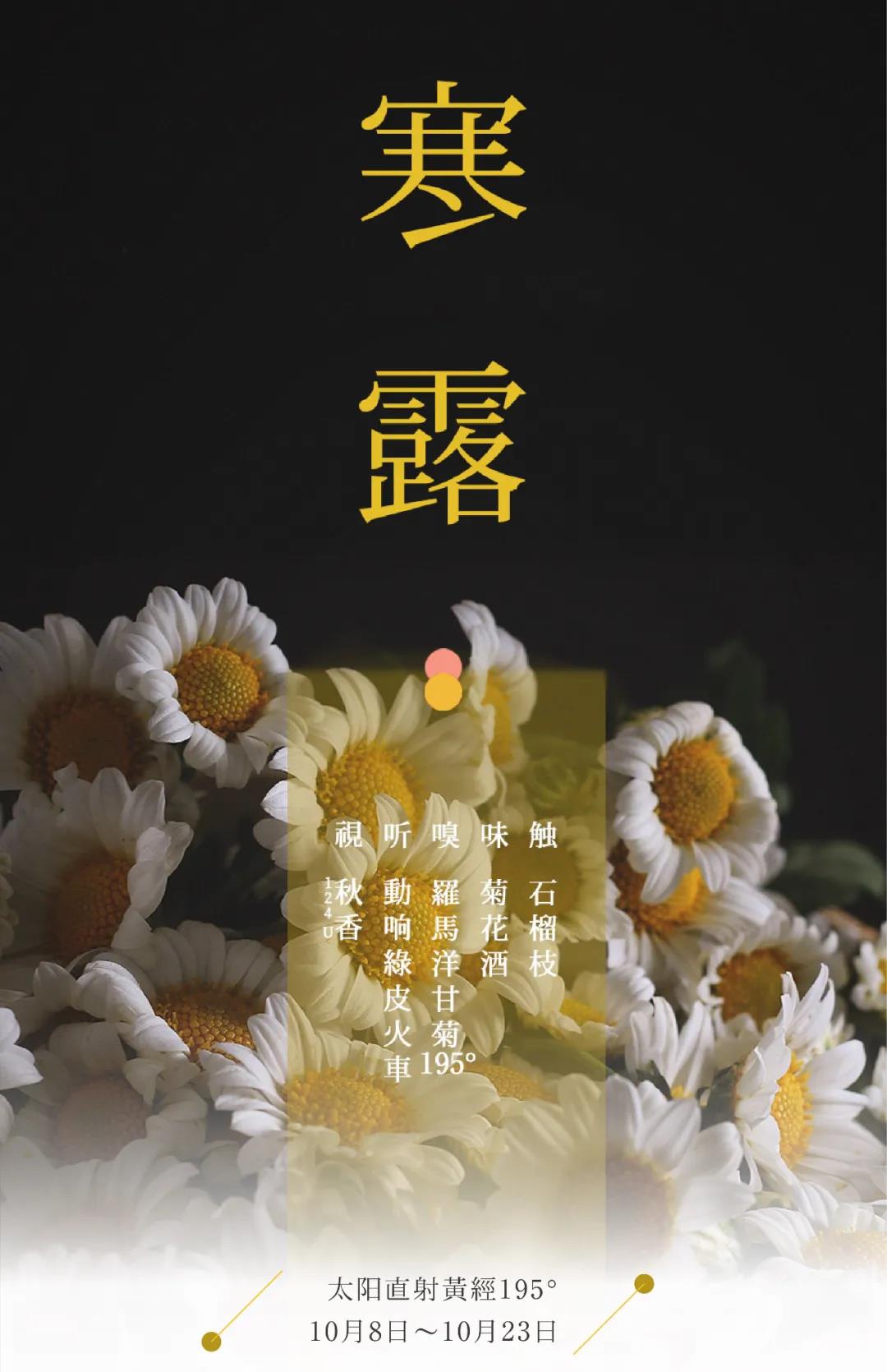 节气五感 | 寒露·一缕露气冷风秋