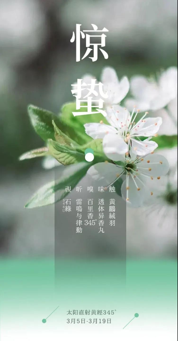 节气五感 | 惊蛰 · 雷鸣心动春山醒