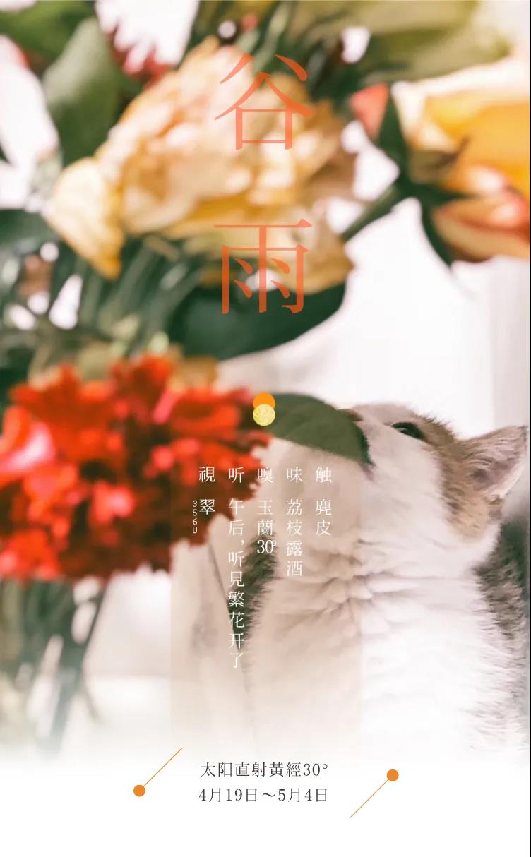 节气五感 | 谷雨 暮春的绿丝绒