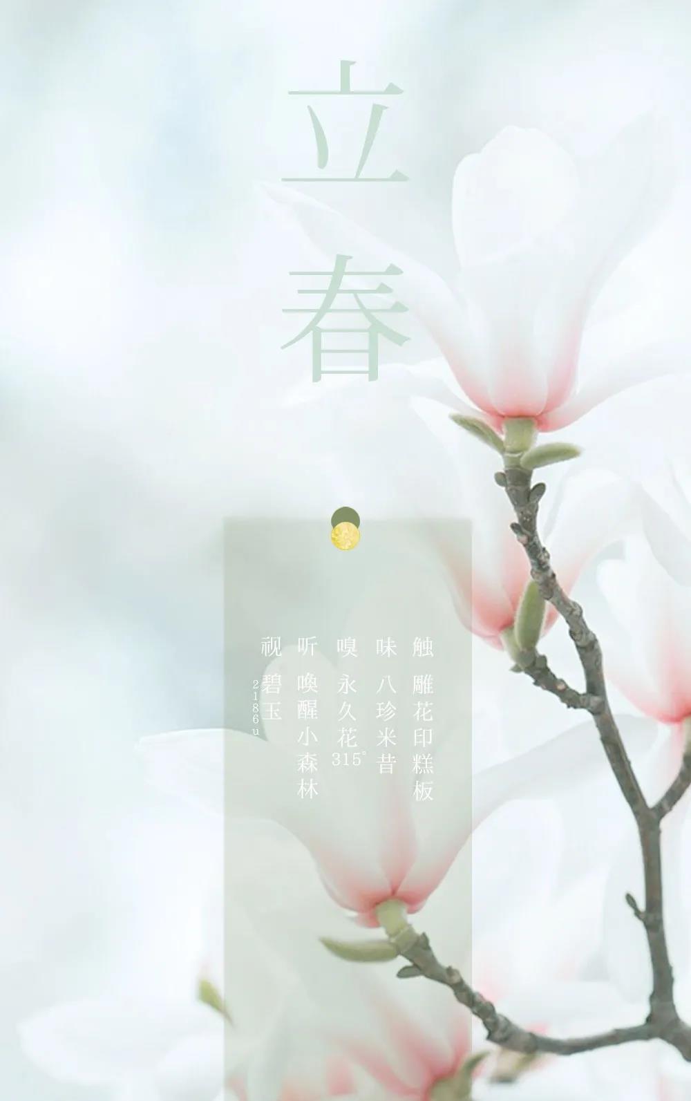 节气五感 | 立春 · 粉碧花印觉春生
