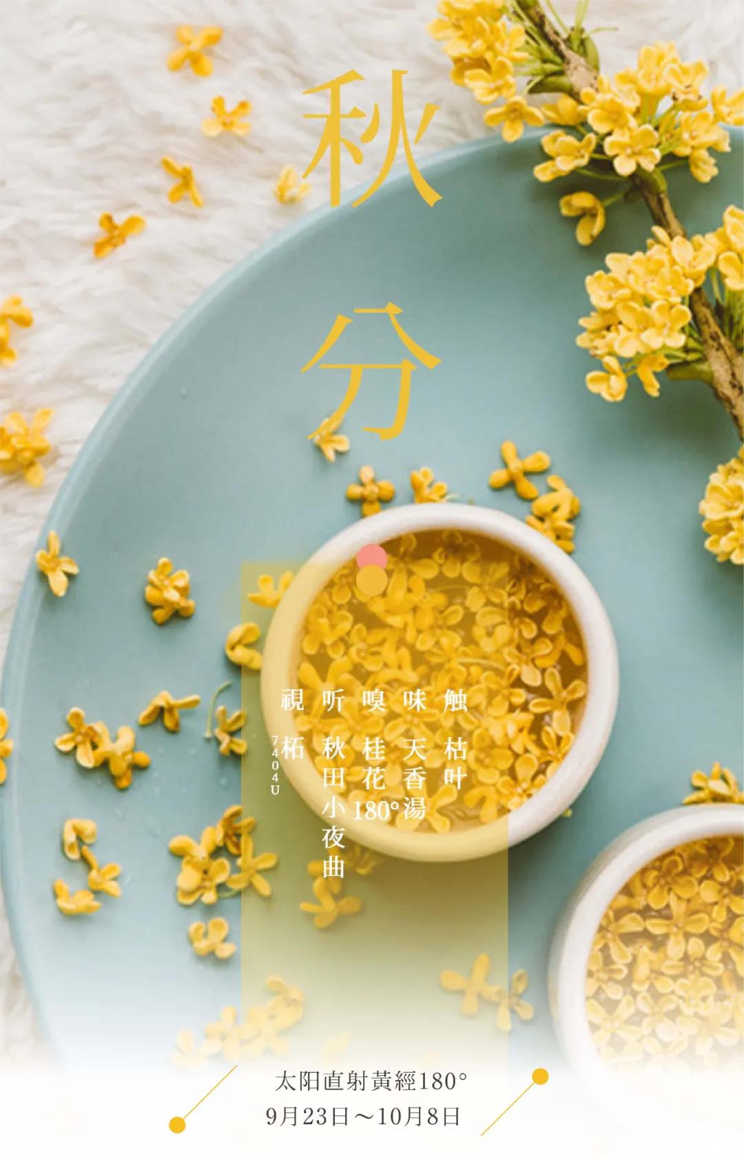 节气五感 | 秋分·庭前叶落秋风起