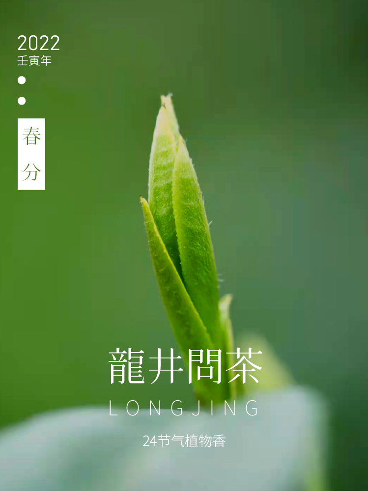 茶 | 春之庭院