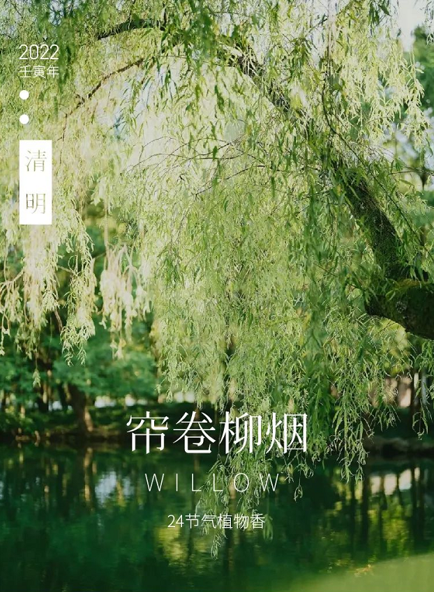 柳 | 春之庭院