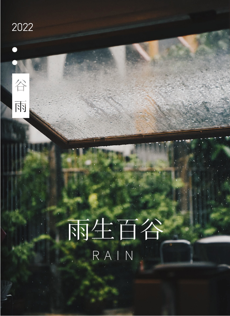 东方牡丹，西方玫瑰
