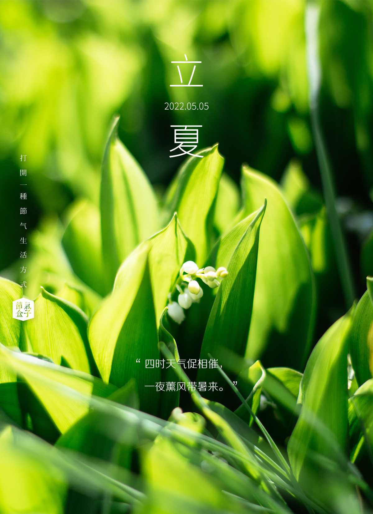 重建“生活力”