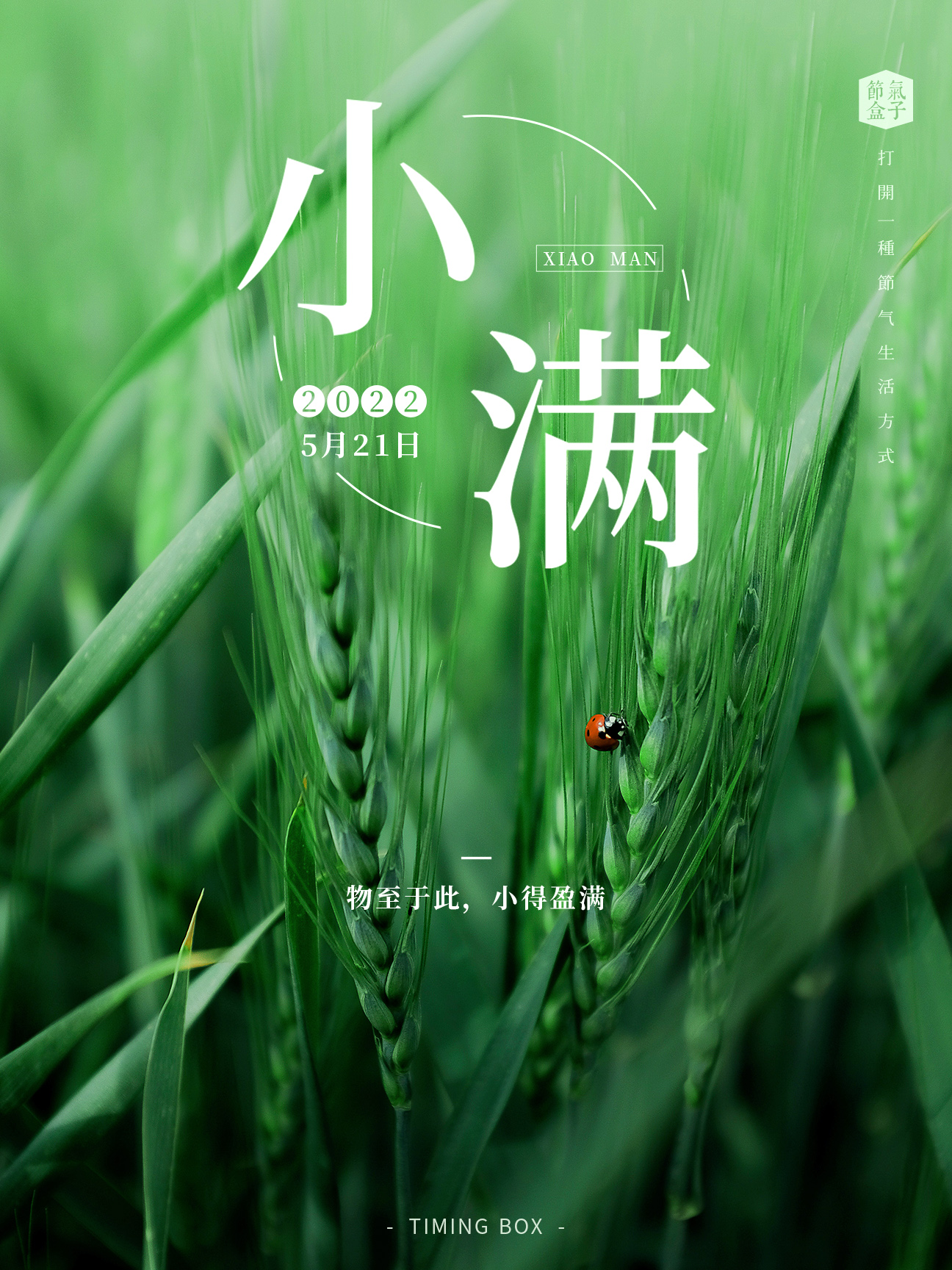 做一次酝酿实验吧