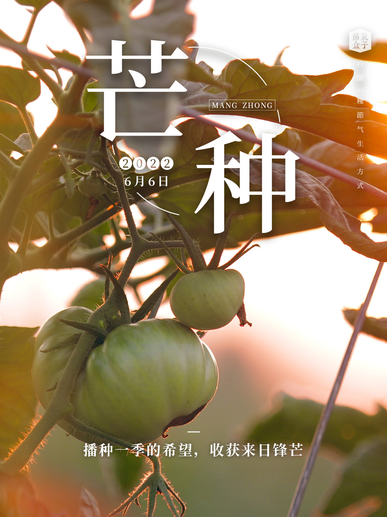 一种城市漫游的自由