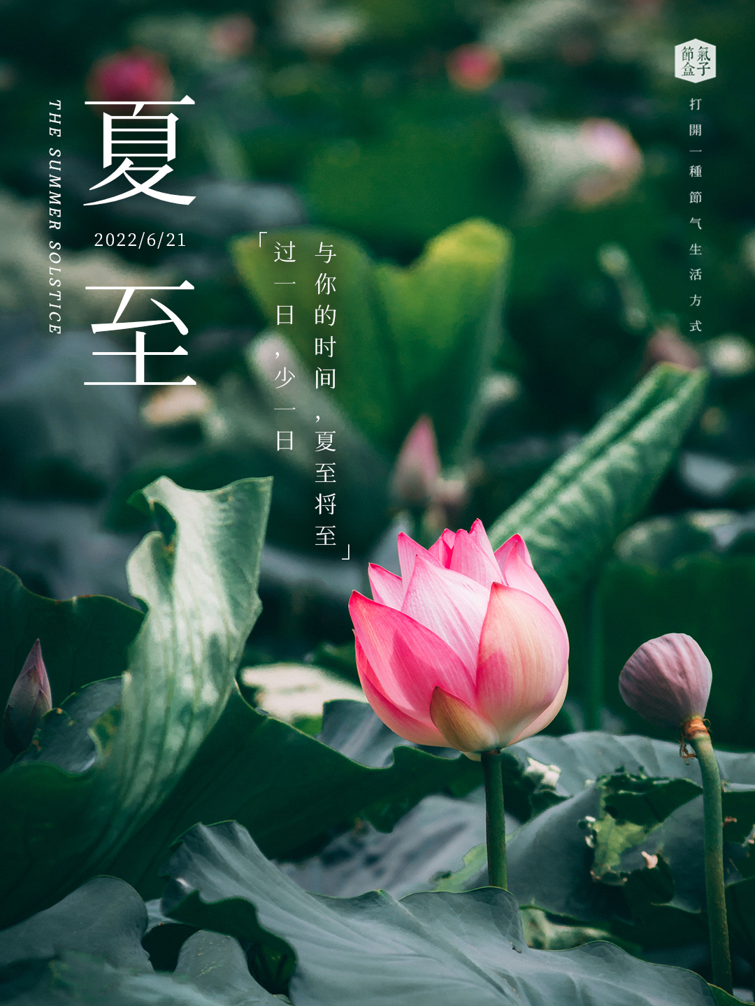 好像所有美好的事都发生在夏天