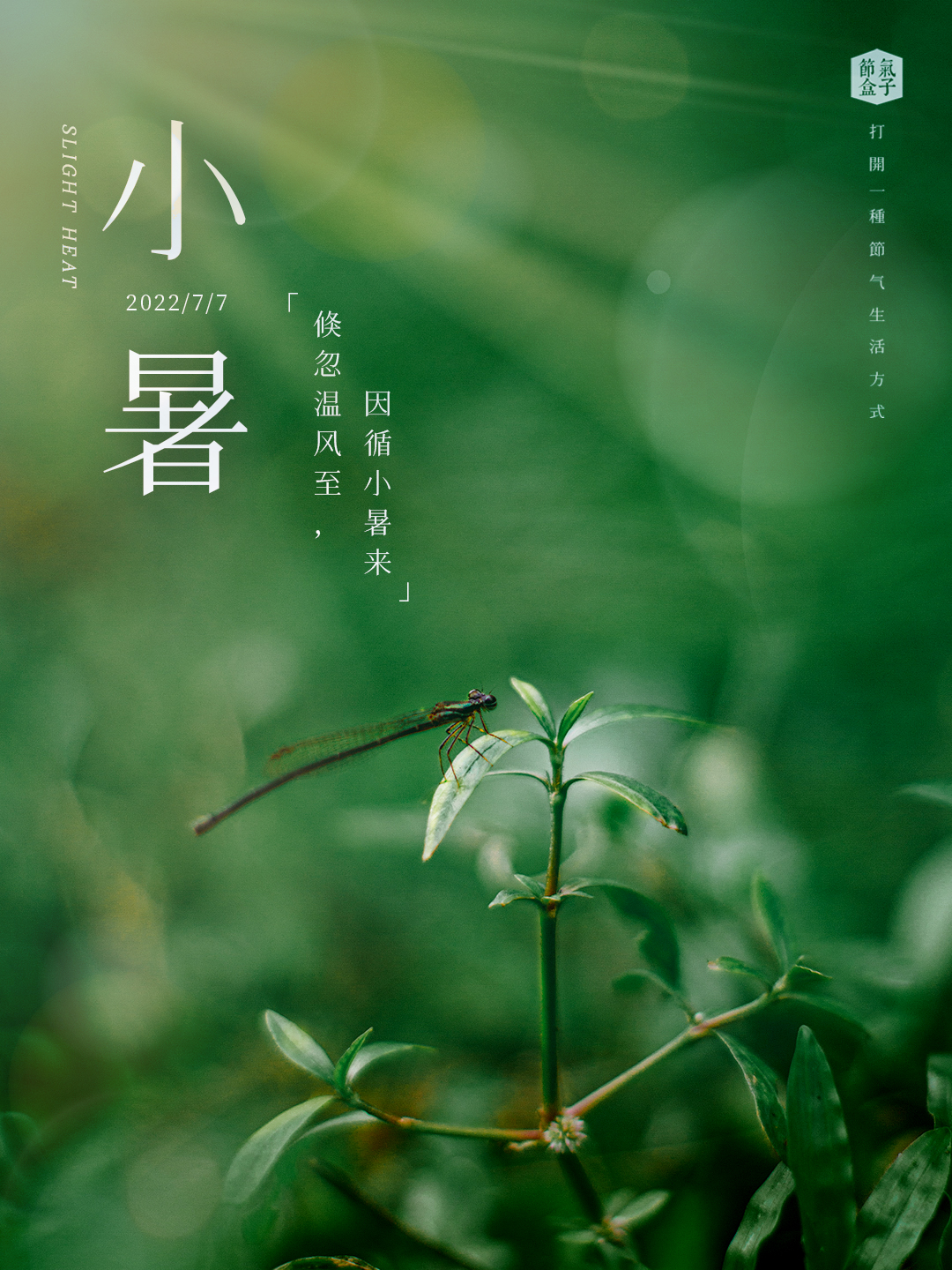 像《梦华录》一般生活着