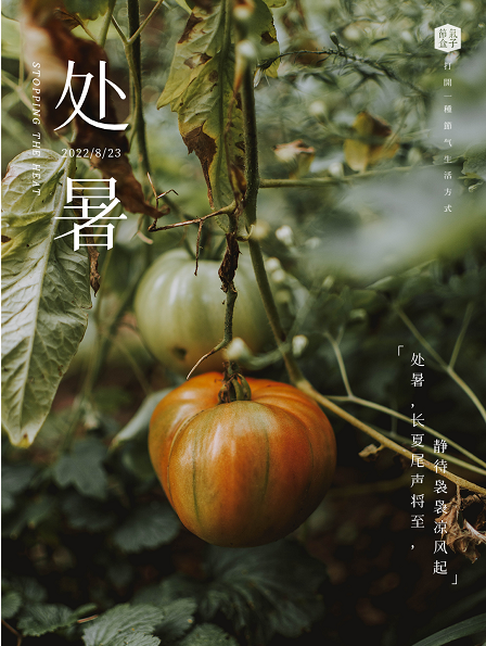 处暑手账 | 秋光有器