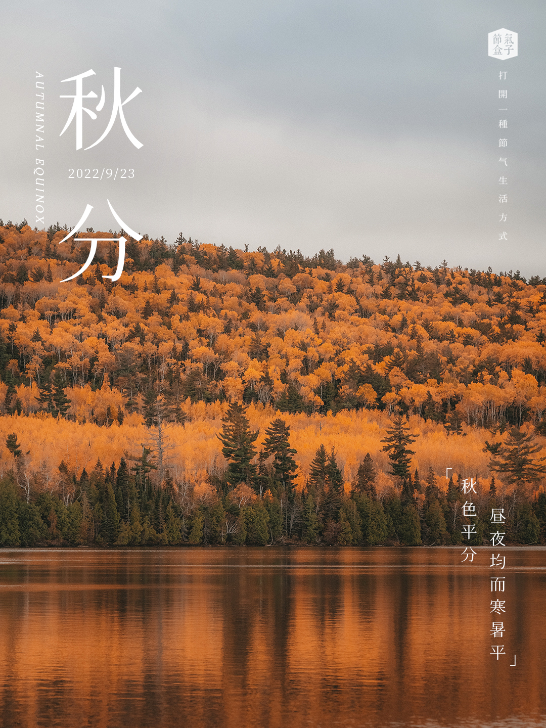 秋分手账 | 桂花Calling