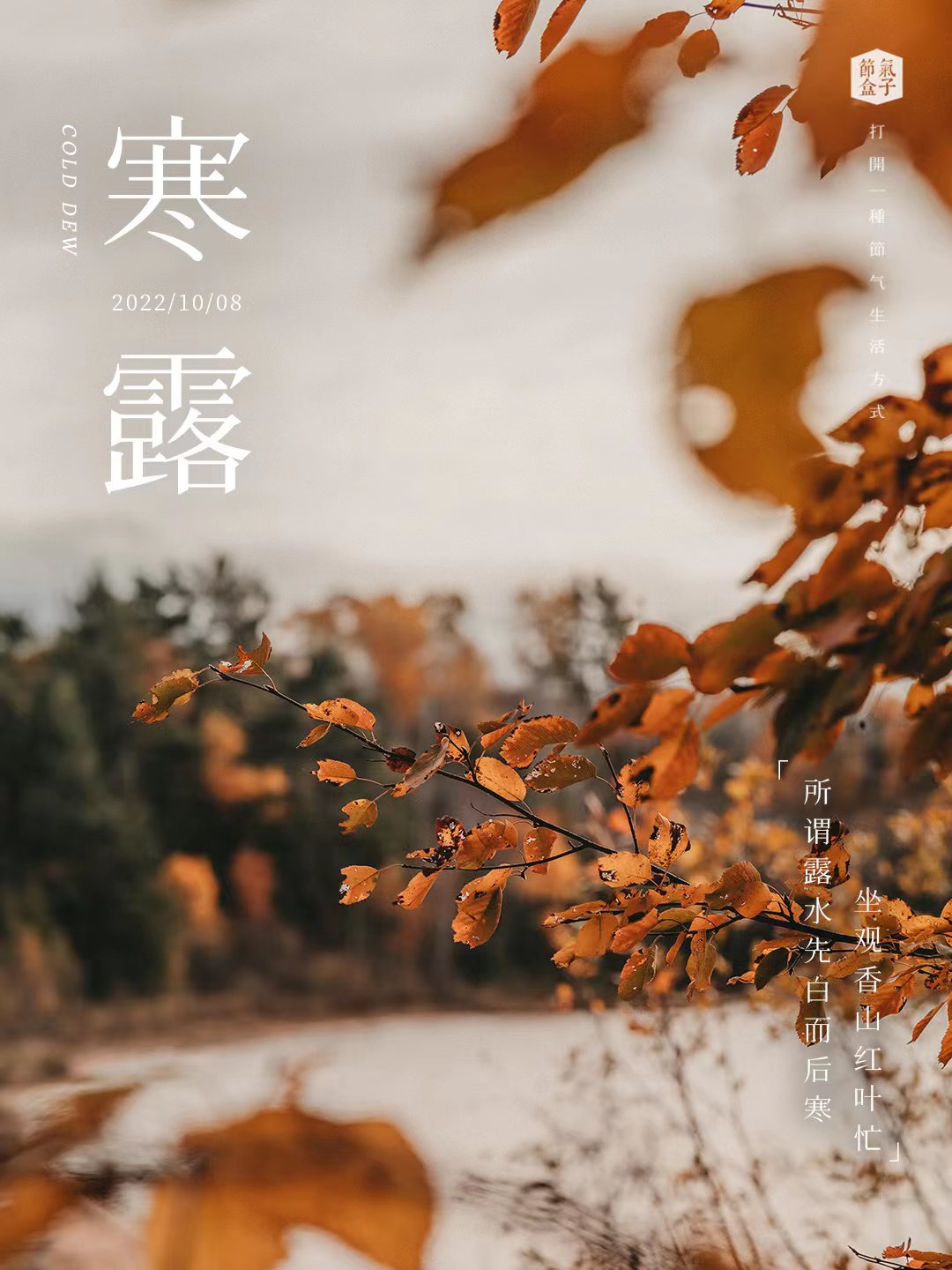 寒露手帐 | 踏“金”胜踏青
