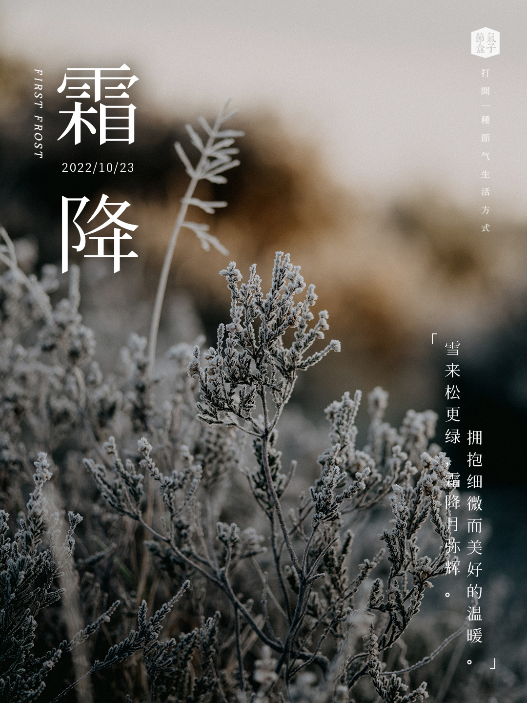 霜降手账| 暮秋的琉璃感